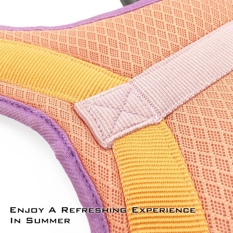 Outdoor Adjustable Lightweight Breathable Portable Dog Harness Pet Accessories