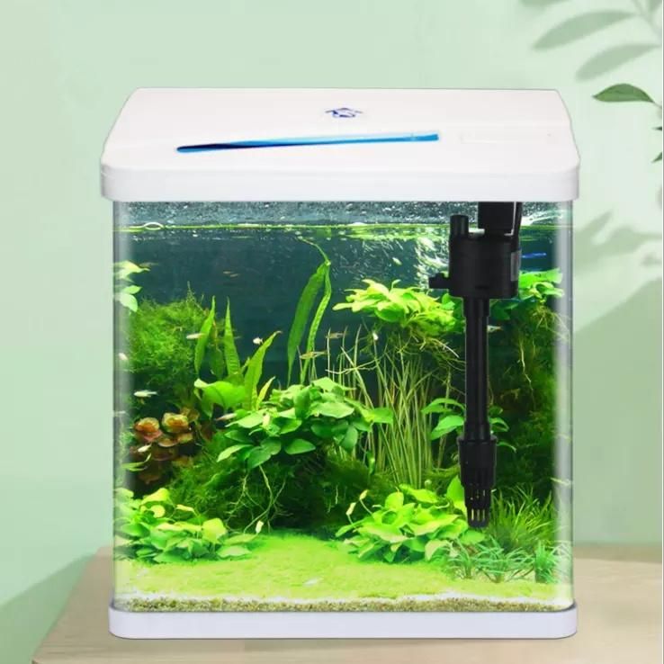 Wholesale Mini Fashionable Fish Home with Rounded Corners Small Fish Tank Aquarium