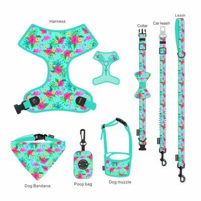 Colorful Custom Pet Supplies Luxury Sublimation Polyester Reversible Collar Leash Dog Harness Set for Dog