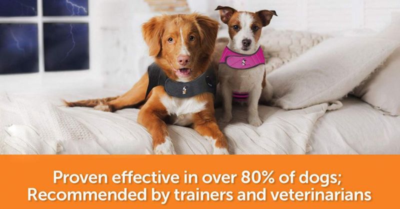 Sport Dog Sweatshirts Recommended Calming Puppy Coat