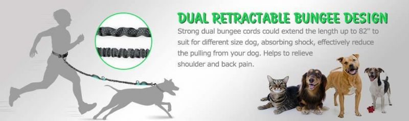 Adjustable Waist Belt Hands-Free Dog Leash with Dual Bungees