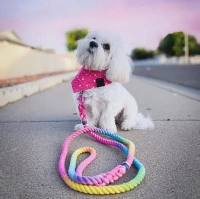 Manufacturer Candy Color Rope Leash with Fashionable Grandient Ramp for Pet Dog Leash