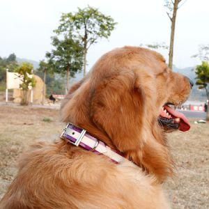 Neon Orange Refletice Dog Collar Made of Matte TPU Coated Polyester Webbing