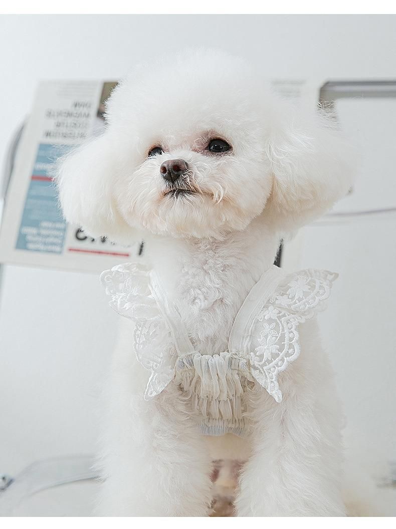 New Fashion Spring Summer Puppy Dog Lace Princess Skirt Breathable Chiffon Cat Suspender Skirt Small Dog Pet Clothes