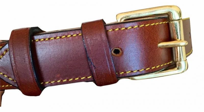 Nice Leather Pet Collar with The Latest Design and Good Quality