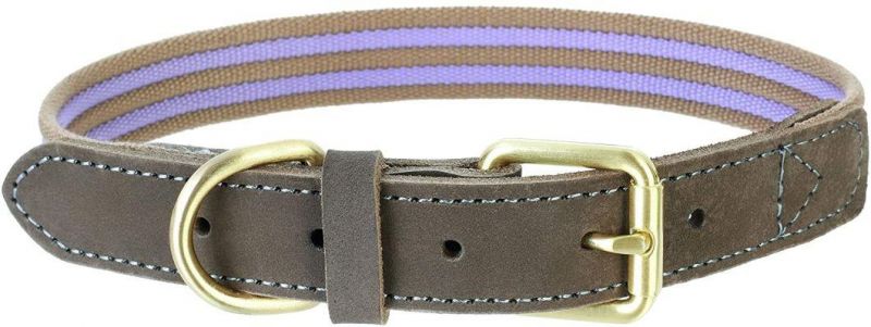 Genuine Leather Belt Collar Canvas Dog Collar
