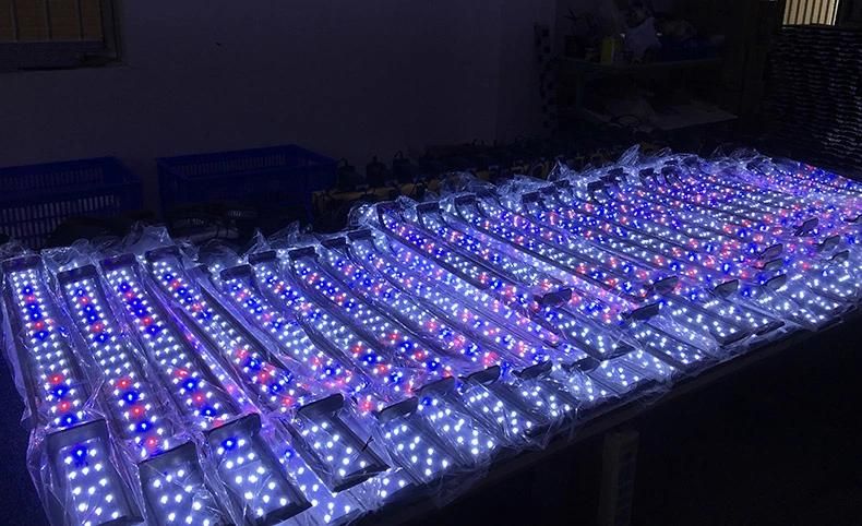 Aquarium LED Clamp Light with Timer 10W on Open Tank