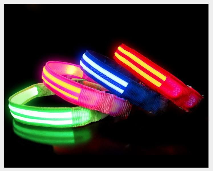 USB Rechargeable Flashing LED Nylon Safety Dog Collar