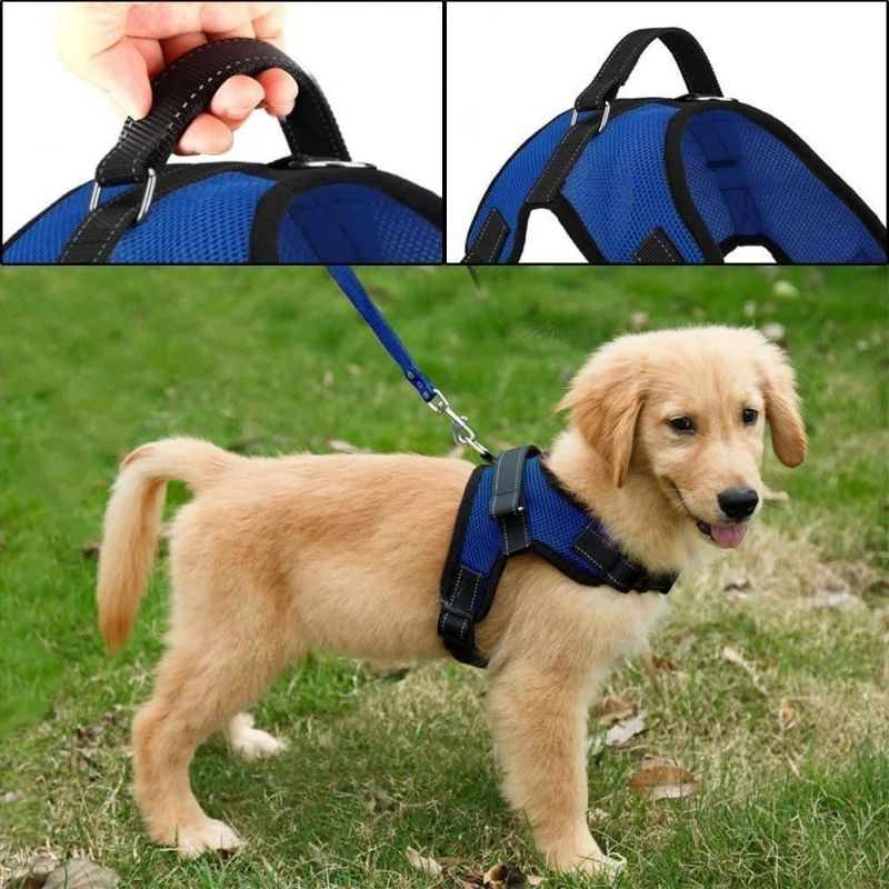 No Pull Reflective Adjustable Mesh Dog Harness with Handle