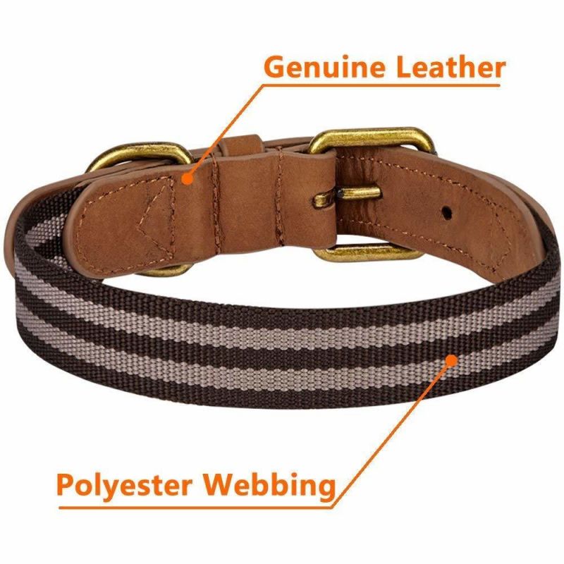 Fabric Soft Genuine Leather Webbing 3/4" Wide Dog Collar in Pink Grey, Small, Neck 12"-15", Adjustable Collars Dogs