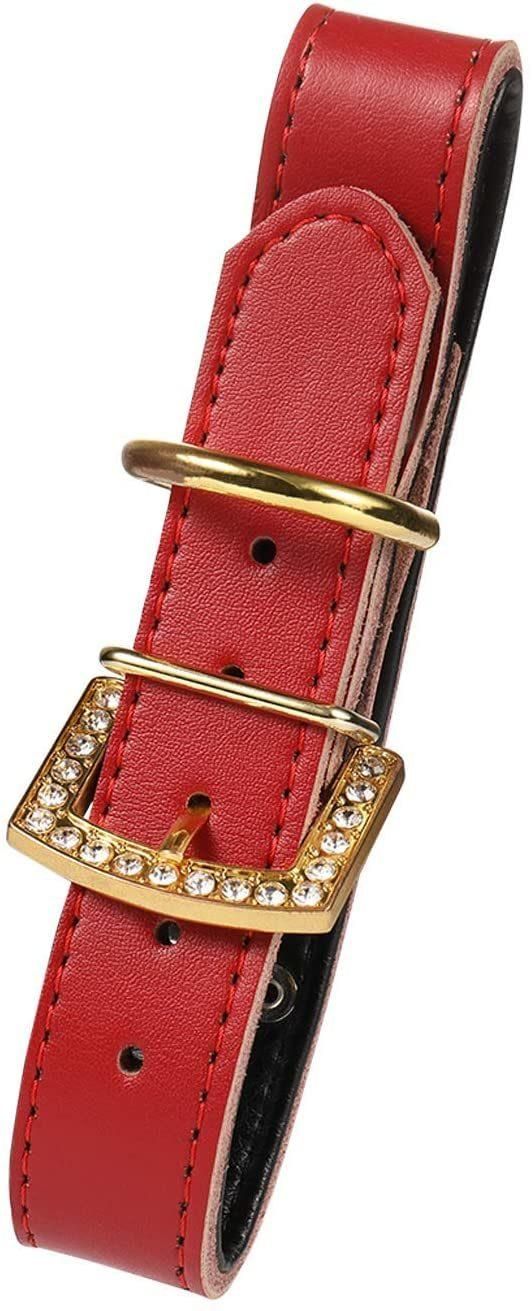 Gold Spikes Studded Personalized Collar