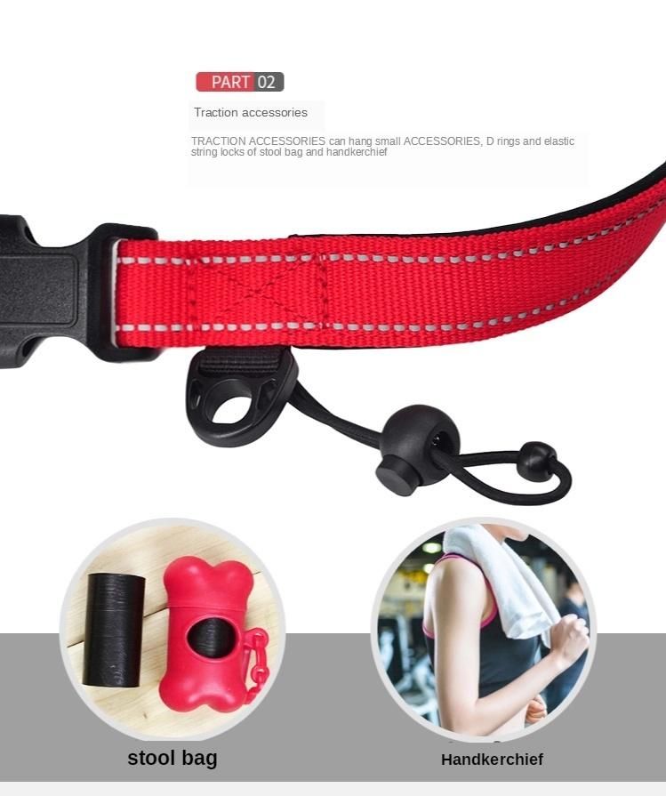 High Quality Wholesale Durable China High Quality Pet Dog Leash