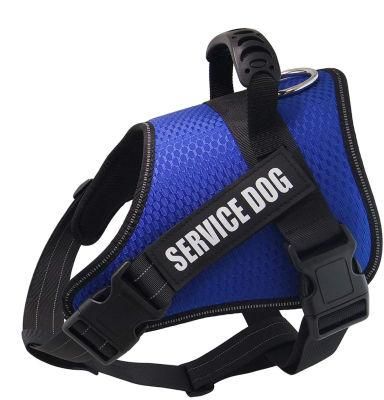 Spupps Blue Color Non-Pull Dog Harness with Soft and Breathable Padding Medium Size