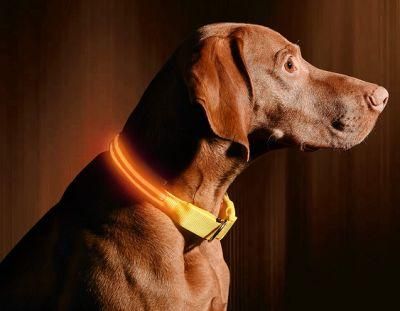 Dog Visible, Safe &amp; Seen LED Dog Collar