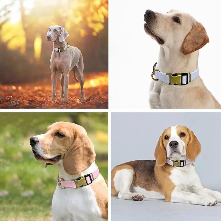 Custom Logo Eco-Friendly Classic Handmade Hemp Cotton Dog Collar Leash