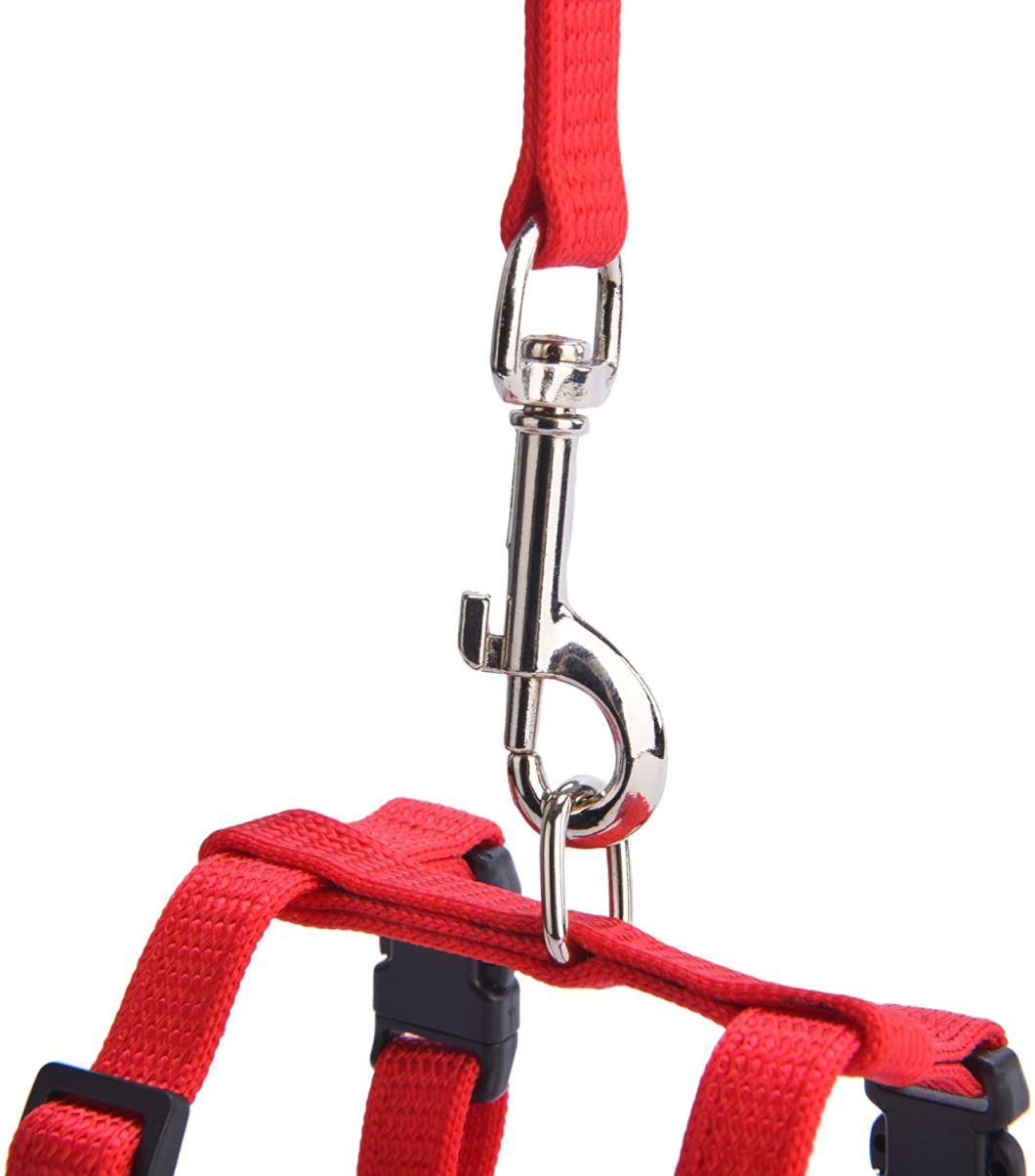 Hot Sale Rope Leash Cat Harnesses LED Cat Leash Surf Leash
