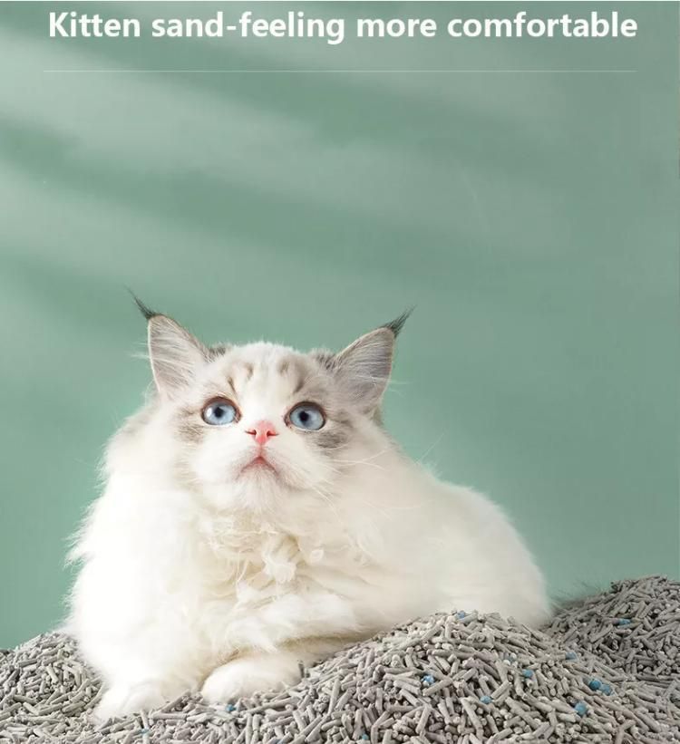 Cat Litter Suppliers Wholesale Cats Litter for Select Tofu Cat Litter