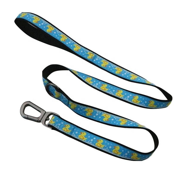 New Design Durable Black Pet Dog Collar and Leash with D Ring Poop Bag