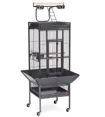 in Stock 61 Inch, 2in1 Bird Cage with Rolling Stand Iron Parrot Cage Chinchilla Finch Large Bird Cages