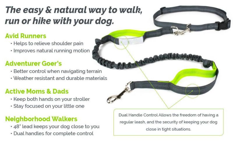 Flexi Leash 360 Easy-Glide Belt Slip Lead Dual Handle Bungee Dog Leash