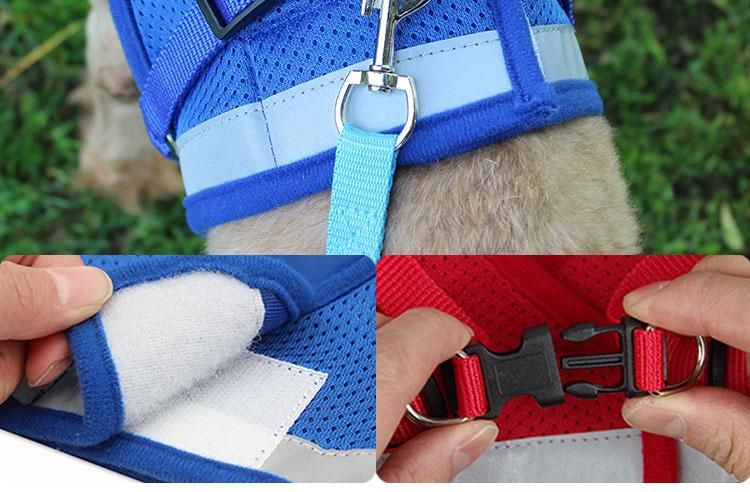 Wholesale Dog Leash Lead/ Pet Collar Flashing LED Lighted Dog Lead, Dog Harness/Pet Leashes