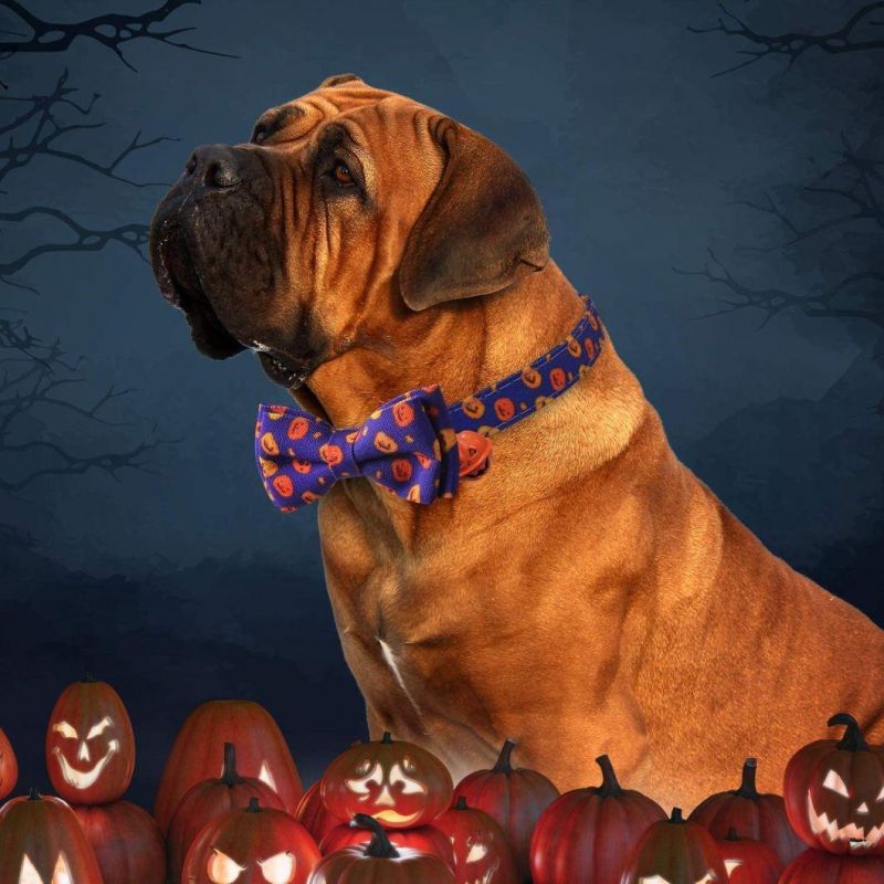 Halloween Dog Collars, Adjustable Pumpkin Ghost Dog Collars with Bow Tie and Bells