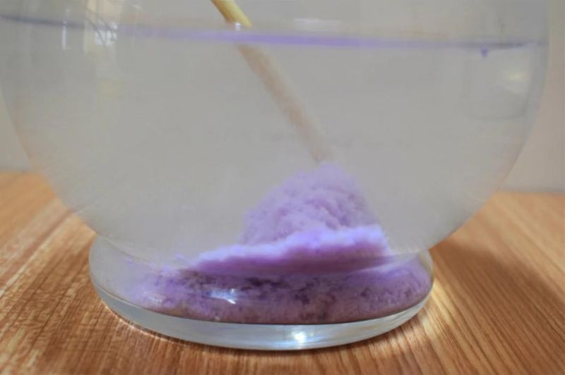 Tofu Cat Litter with Lavender Scent and Easy Clump