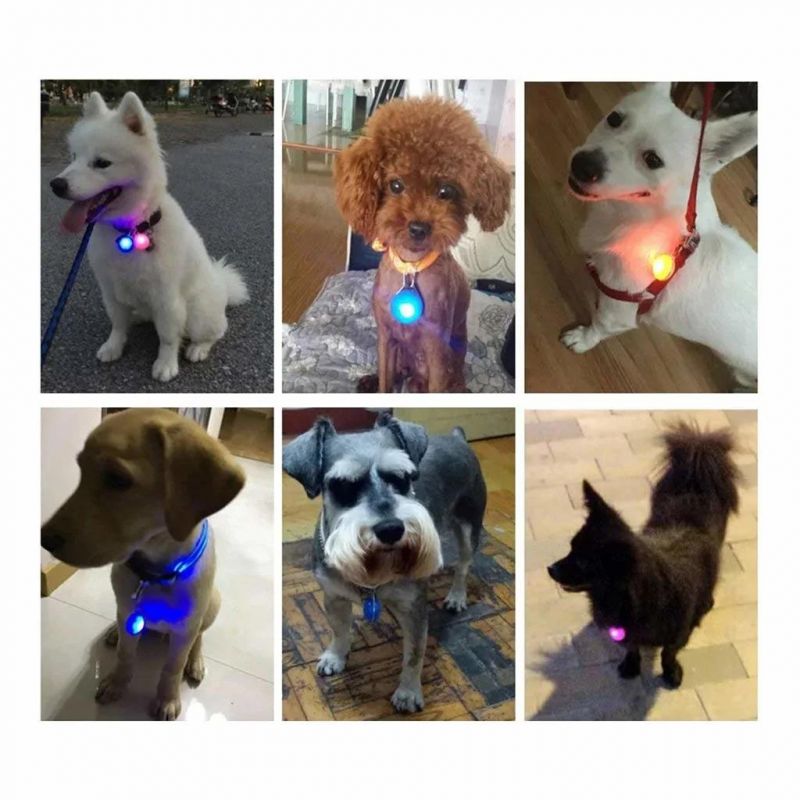 Waterproof Safety Lights of Dogs and Cats for Night Walking and Included Extra Replacement Batteries