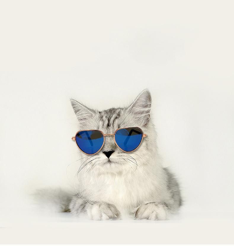 Pet Glasses Mini Cat Sunglasses Teddy Dog Personality Trend Sunglasses Harley Mirror