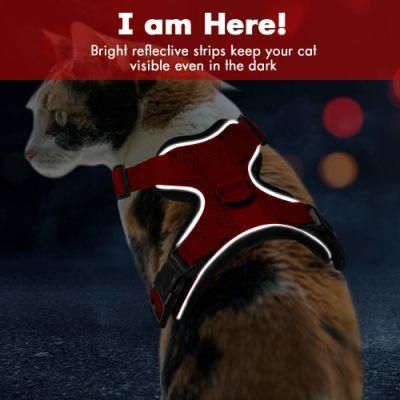 Super Comfort Cat Harness Vest and Lead with Breathable Air-Mesh Fabric