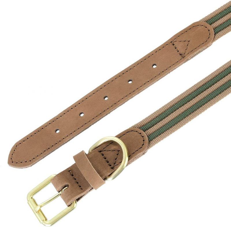 Premium Canvas Leather Dog Collar