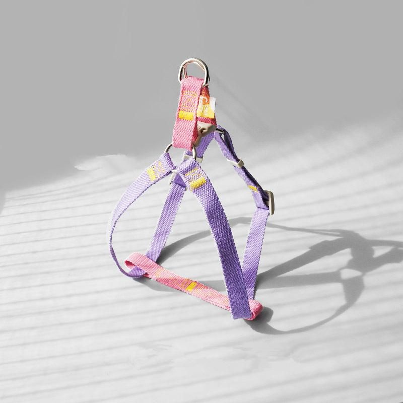Lightweight Pet Harness Colorful Design Small Pet Harness Set