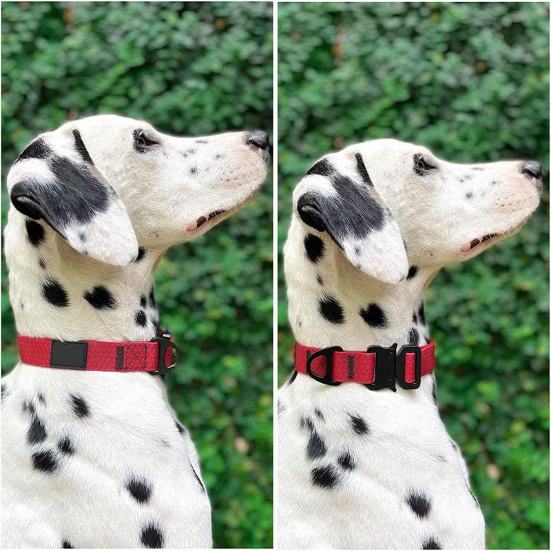 Tear Proof & Odor Free Rust-Proof Quick Release Buckle Dog Collar