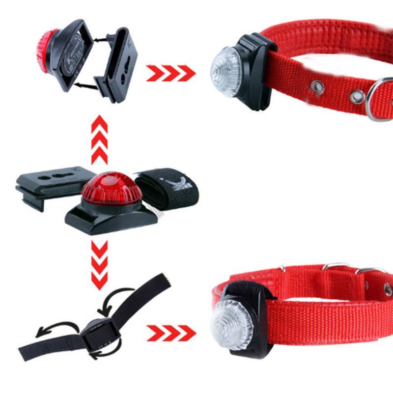 Clip-on Pet Dog Collar LED Light - Dog Lights for Collars