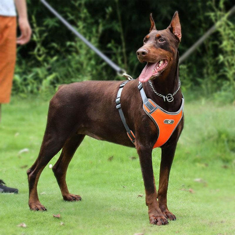 Adjustable Dog Harness with Reflective Strips for Small to Large Dog