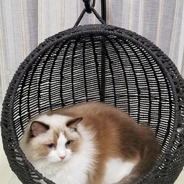 Wholesale Black Hanging Basket Nest Cat Products