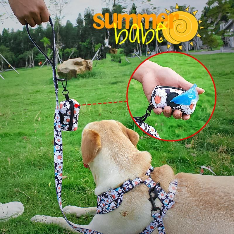 OEM Luxury Designer Pattern Reversible No Pull Custom Dog Harness Set Cat Pet Collar Leash Leads Step in Adjustable Dog Harness
