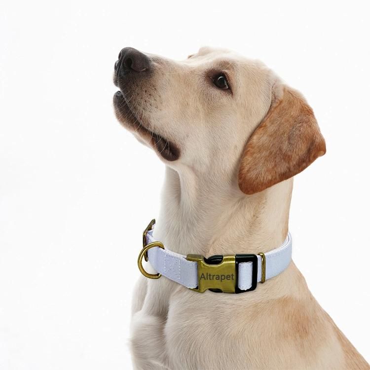 Custom Logo Eco-Friendly Classic Handmade Hemp Cotton Dog Collar Leash
