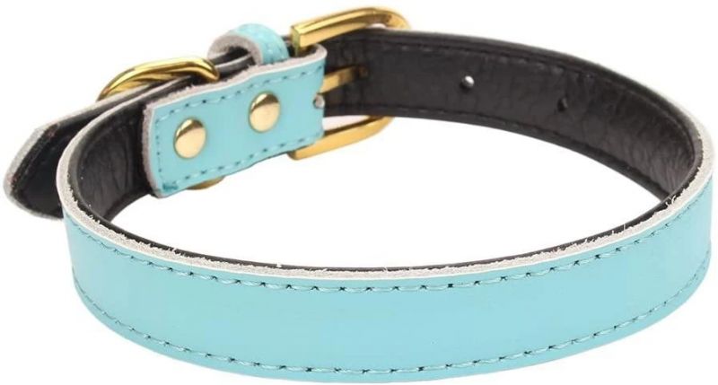 Amazon Hot Sell Basic Classic Padded Leather Pet Collars