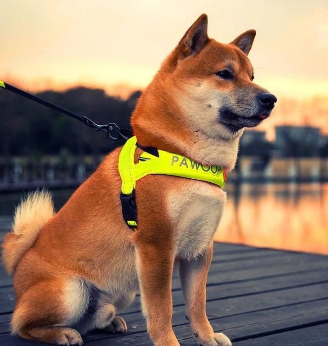 High Quality Reflective Dog Harness with Customized Packaging Boxes