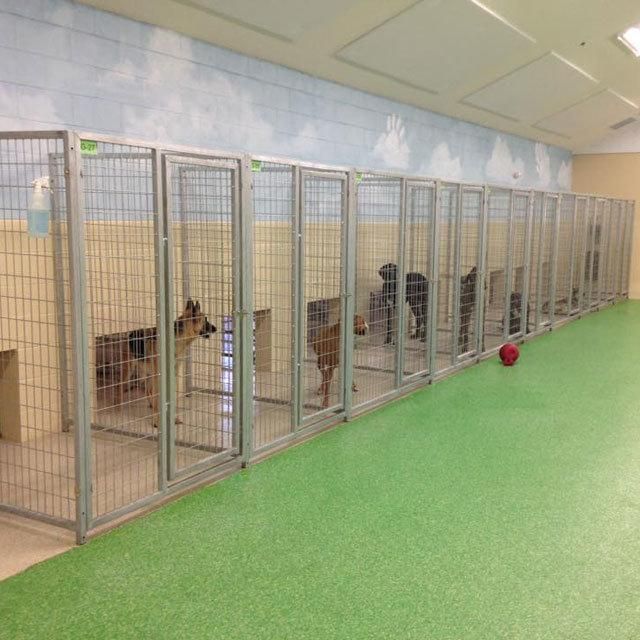 Heavy Duty Custom Indoor / Outdoor Dog Boarding Kennels.