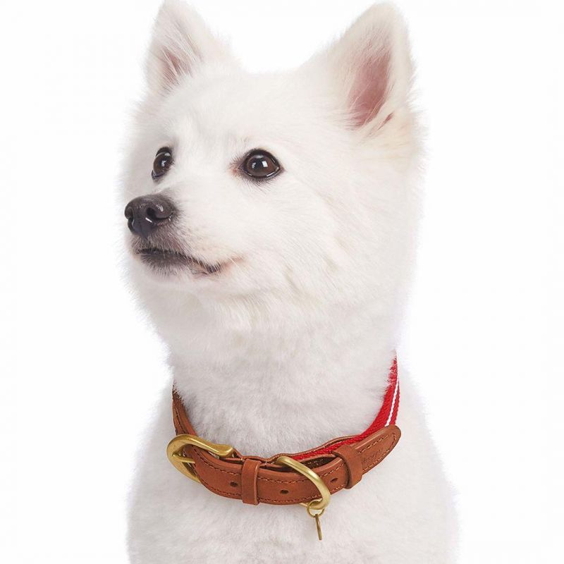 Red & White Color Leather & Polyester Pet Collar with The Comfortable Experience