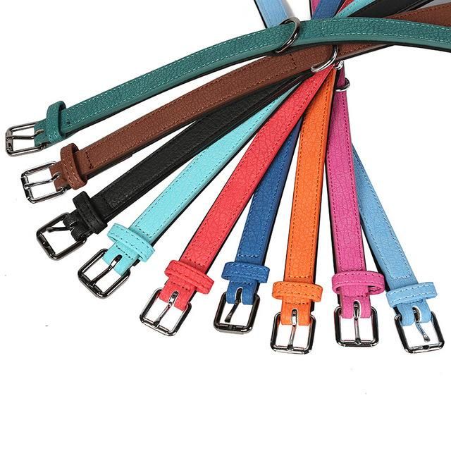 PU Padding Dog Collar for Small Medium Large Dog