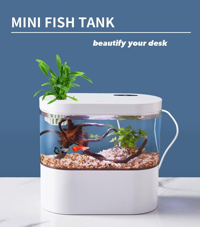 1-Gallon Mini Desktop Aquarium Kit Safe Acrylic White