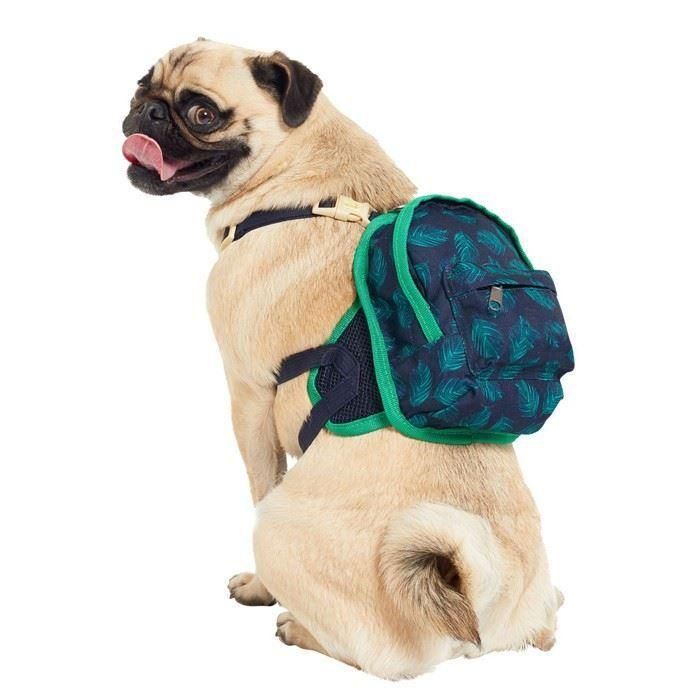 New Design Dog Backpack Harness