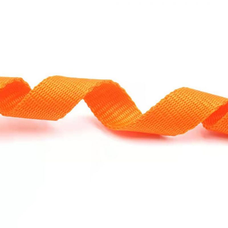 Durable Nylon Pet Leash Pure Dog Leash