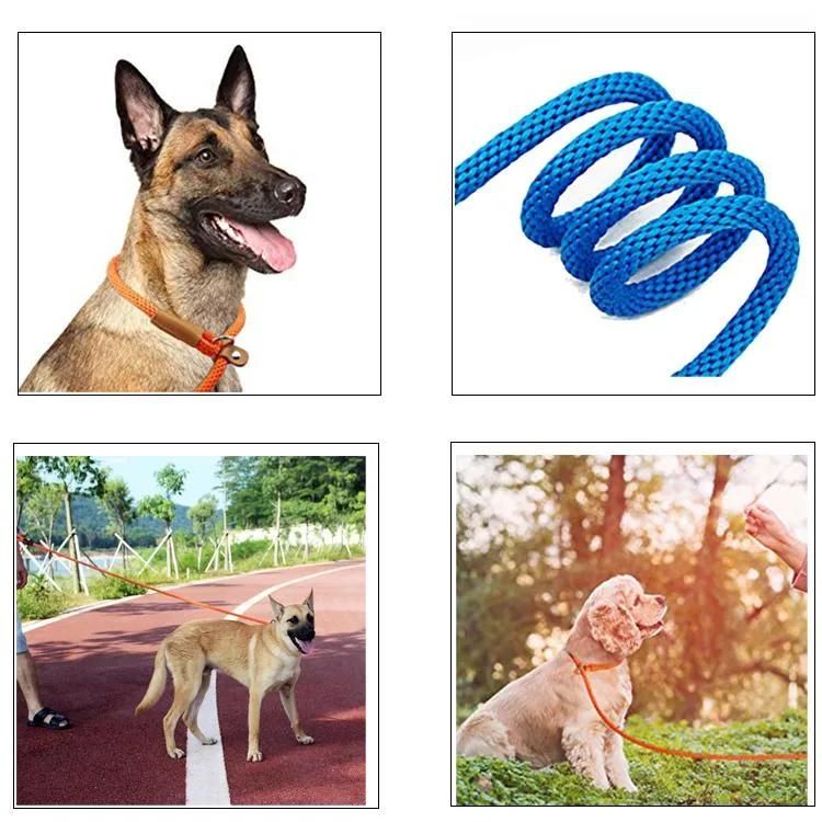 Braided Nylon Rope Dog Leash Lead