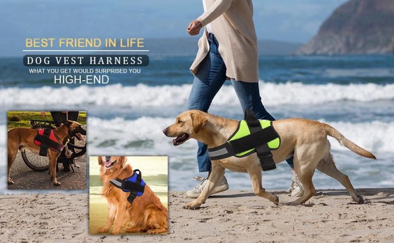 Adjustable Pet Harness with No More Pulling