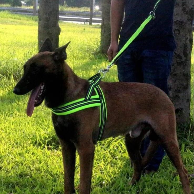 Unique Hand Wrap Design Sport Dog Leash with Bungee