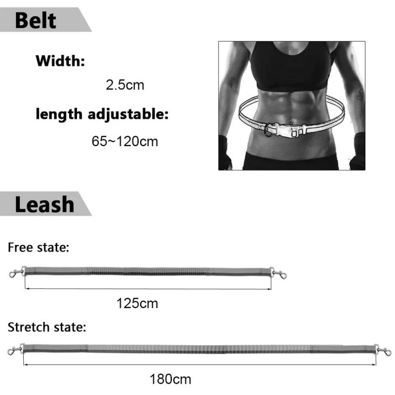 Hand Free Dog Lead, Adjustable Dog Leash Waist Belt Reflective Bungee Running Leash